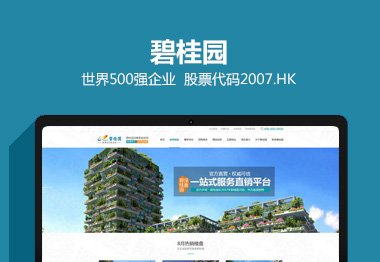 碧桂園地產(chǎn)營銷品牌網(wǎng)站建設(shè)案例